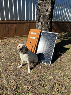 This is a size reference for the Titan 850 lights. 90lb dog for scale.